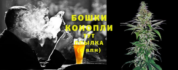 шишки Алексеевка