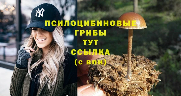 шишки Алексеевка