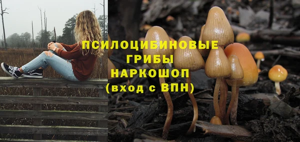 скорость Алексин
