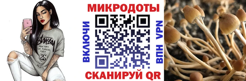 Псилоцибиновые грибы Psilocybine cubensis Чудово