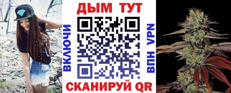 Конопля гибрид  Чудово 